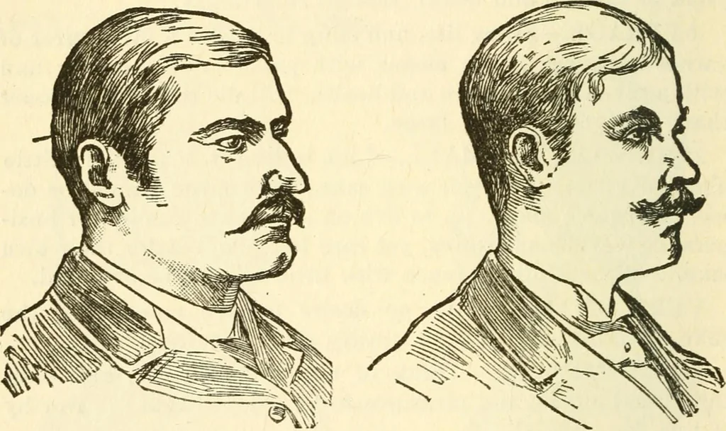 An illustration from The self-instructor in phrenology and physiology; with over one hundred new illustrations, including a chart for the use of practical phrenologists, 1890, leaf 101