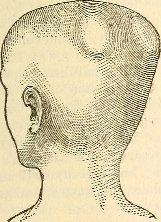 An illustration from The self-instructor in phrenology and physiology; with over one hundred new illustrations, including a chart for the use of practical phrenologists, 1890, leaf 120