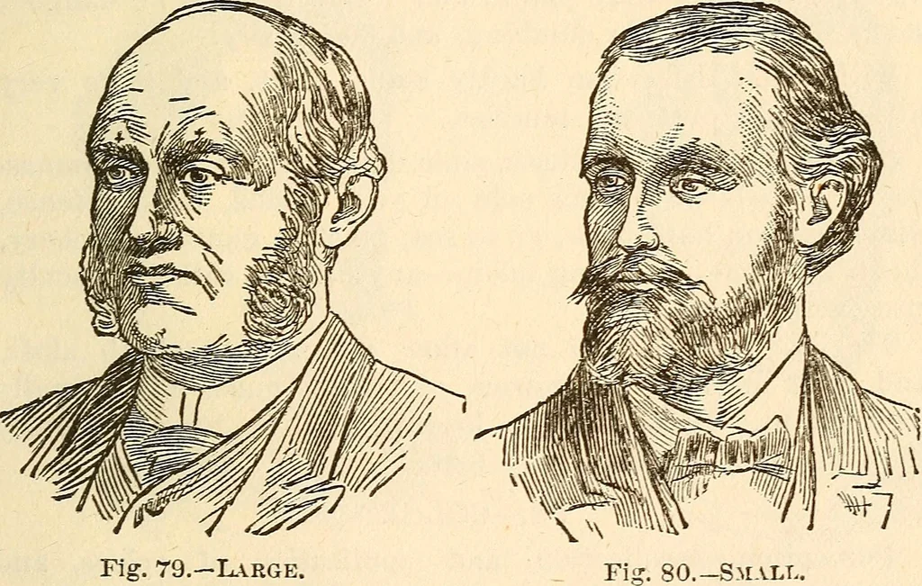 An illustration from The self-instructor in phrenology and physiology; with over one hundred new illustrations, including a chart for the use of practical phrenologists, 1890, leaf 162