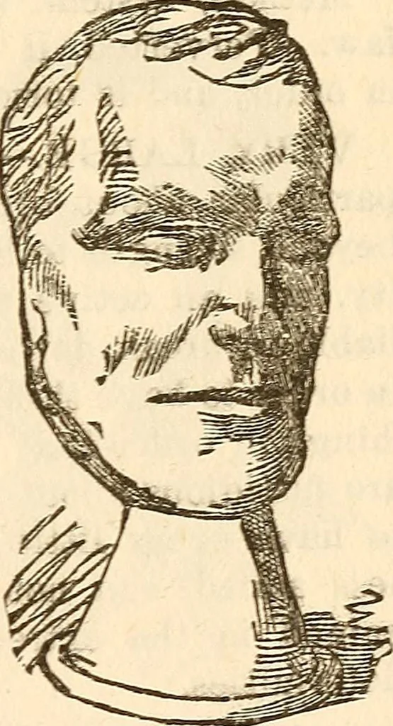 An illustration from The self-instructor in phrenology and physiology; with over one hundred new illustrations, including a chart for the use of practical phrenologists, 1890, leaf 164