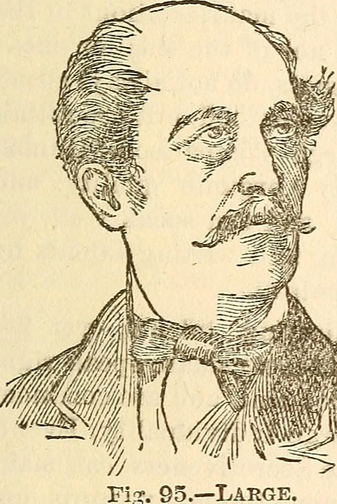 An illustration from The self-instructor in phrenology and physiology; with over one hundred new illustrations, including a chart for the use of practical phrenologists, 1890, leaf 176