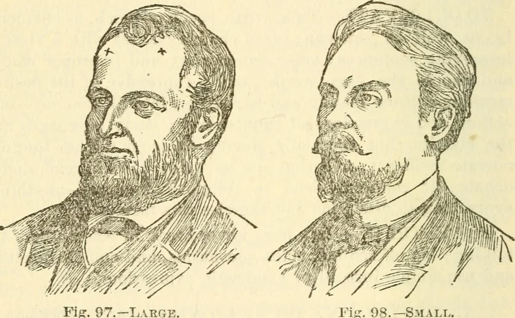 An illustration from The self-instructor in phrenology and physiology; with over one hundred new illustrations, including a chart for the use of practical phrenologists, 1890, leaf 179