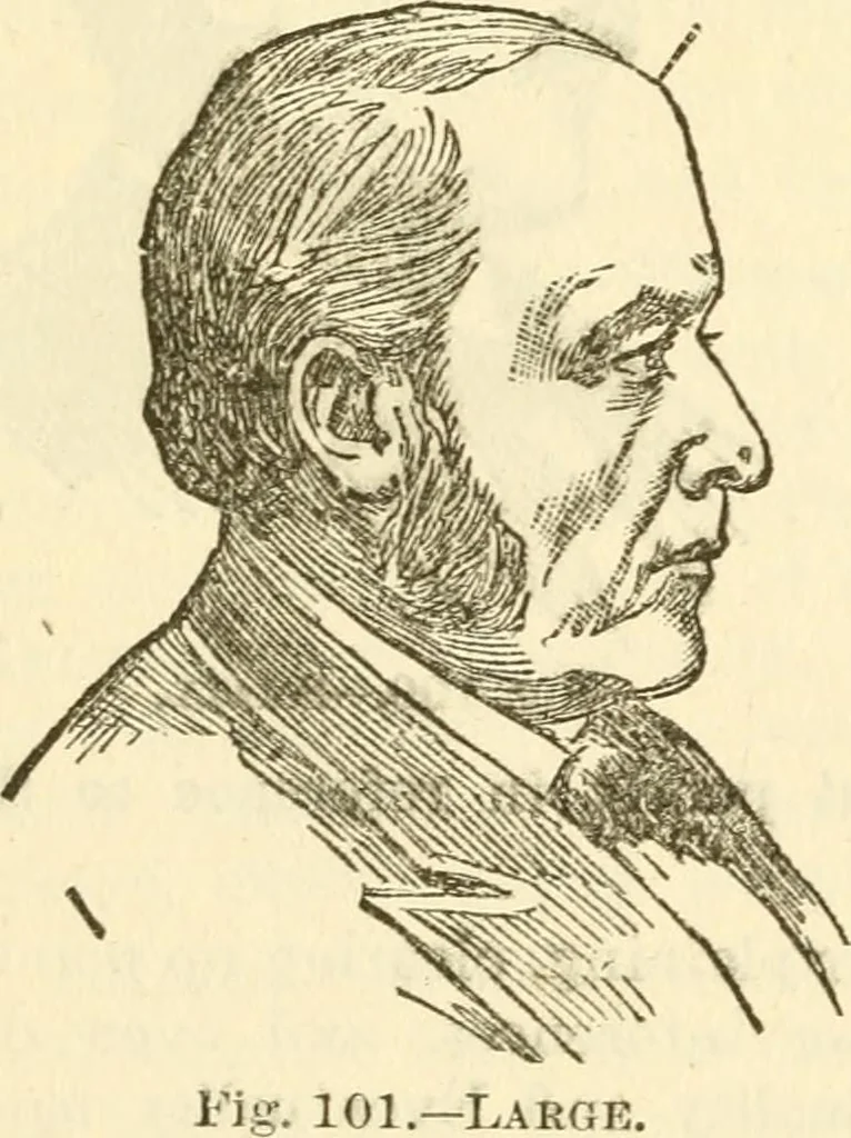 An illustration from The self-instructor in phrenology and physiology; with over one hundred new illustrations, including a chart for the use of practical phrenologists, 1890, leaf 183