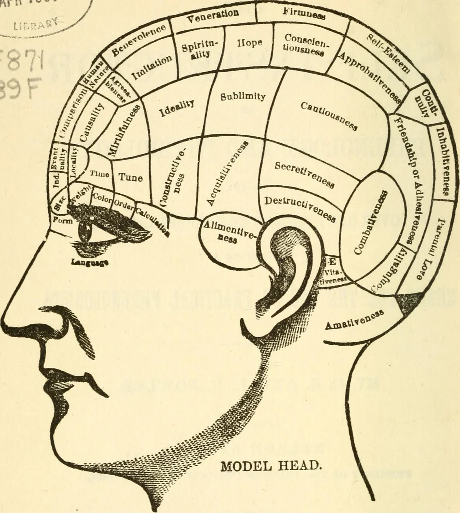 An illustration from The self-instructor in phrenology and physiology; with over one hundred new illustrations, including a chart for the use of practical phrenologists, 1890, leaf 5