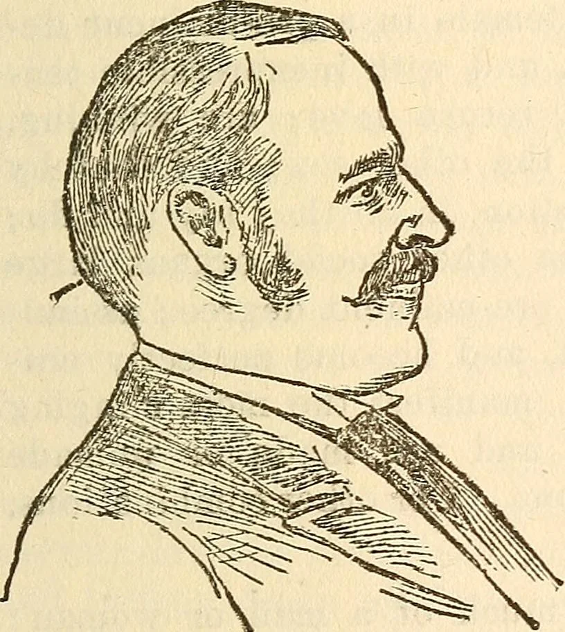 An illustration from The self-instructor in phrenology and physiology; with over one hundred new illustrations, including a chart for the use of practical phrenologists, 1890, leaf 80