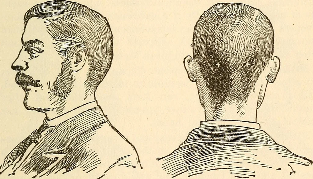 An illustration from The self-instructor in phrenology and physiology; with over one hundred new illustrations, including a chart for the use of practical phrenologists, 1890, leaf 86