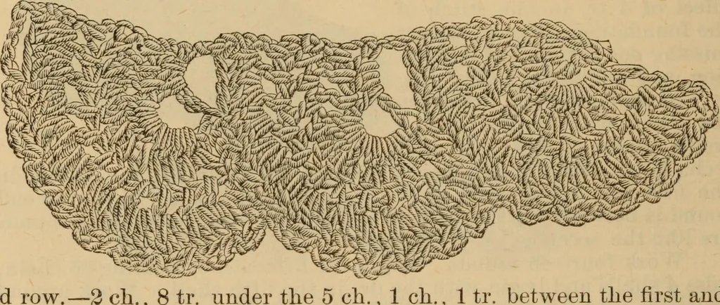 An illustration from The self-instructor in silk knitting, crocheting and embroidery, 1884, leaf 49