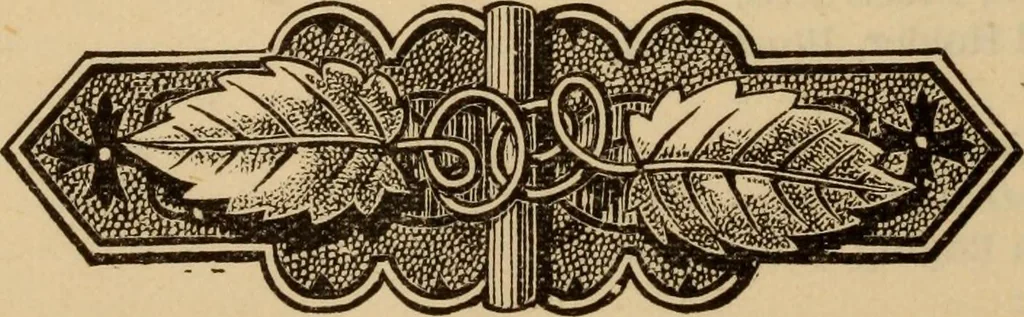 An illustration from The self-instructor in silk knitting, crocheting and embroidery, 1884, leaf 5