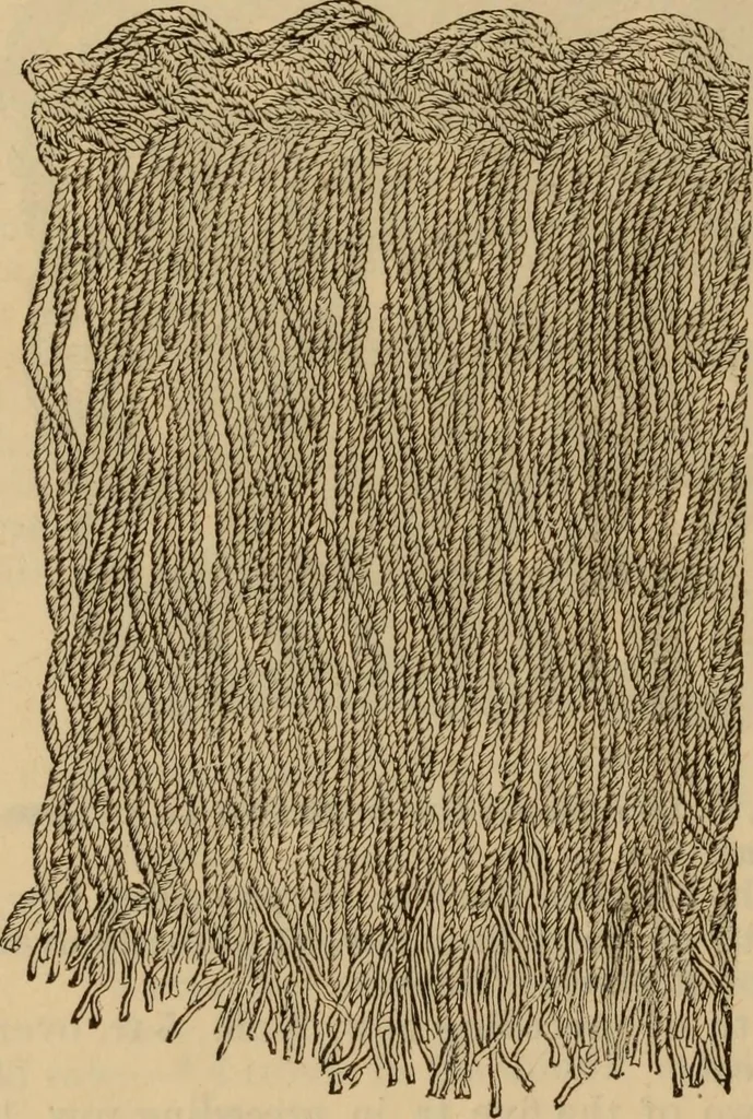 An illustration from The self-instructor in silk knitting, crocheting and embroidery, 1884, leaf 53