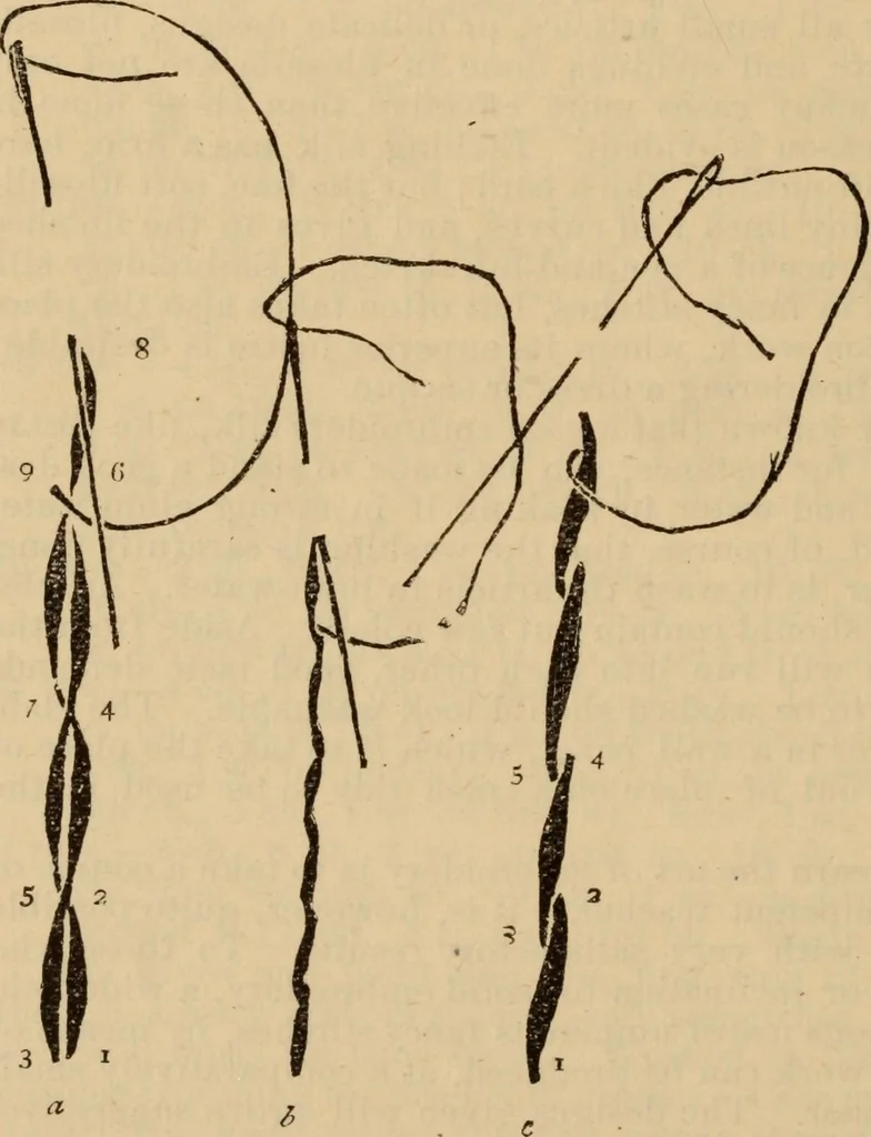 An illustration from The self-instructor in silk knitting, crocheting and embroidery, 1884, leaf 59