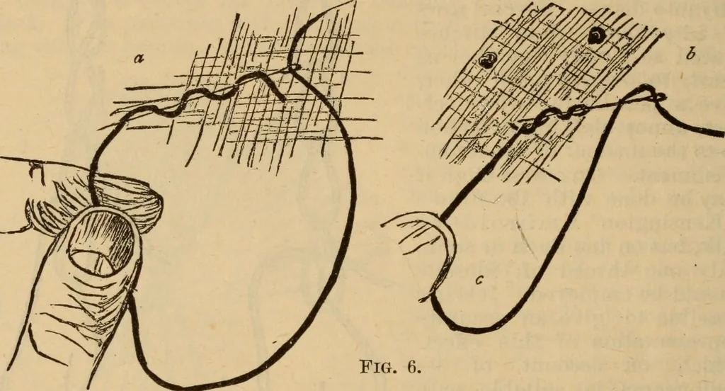 An illustration from The self-instructor in silk knitting, crocheting and embroidery, 1884, leaf 65