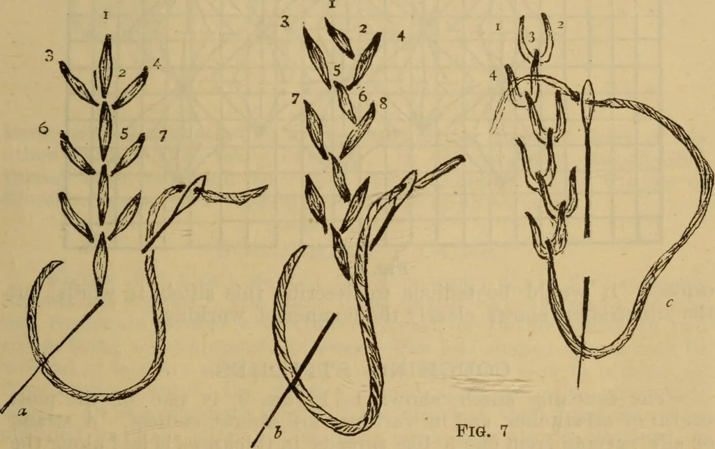 An illustration from The self-instructor in silk knitting, crocheting and embroidery, 1884, leaf 66