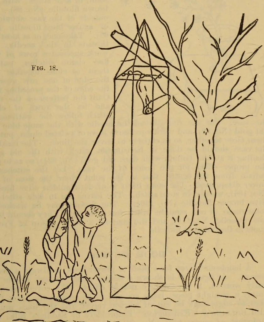 An illustration from The self-instructor in silk knitting, crocheting and embroidery, 1884, leaf 76