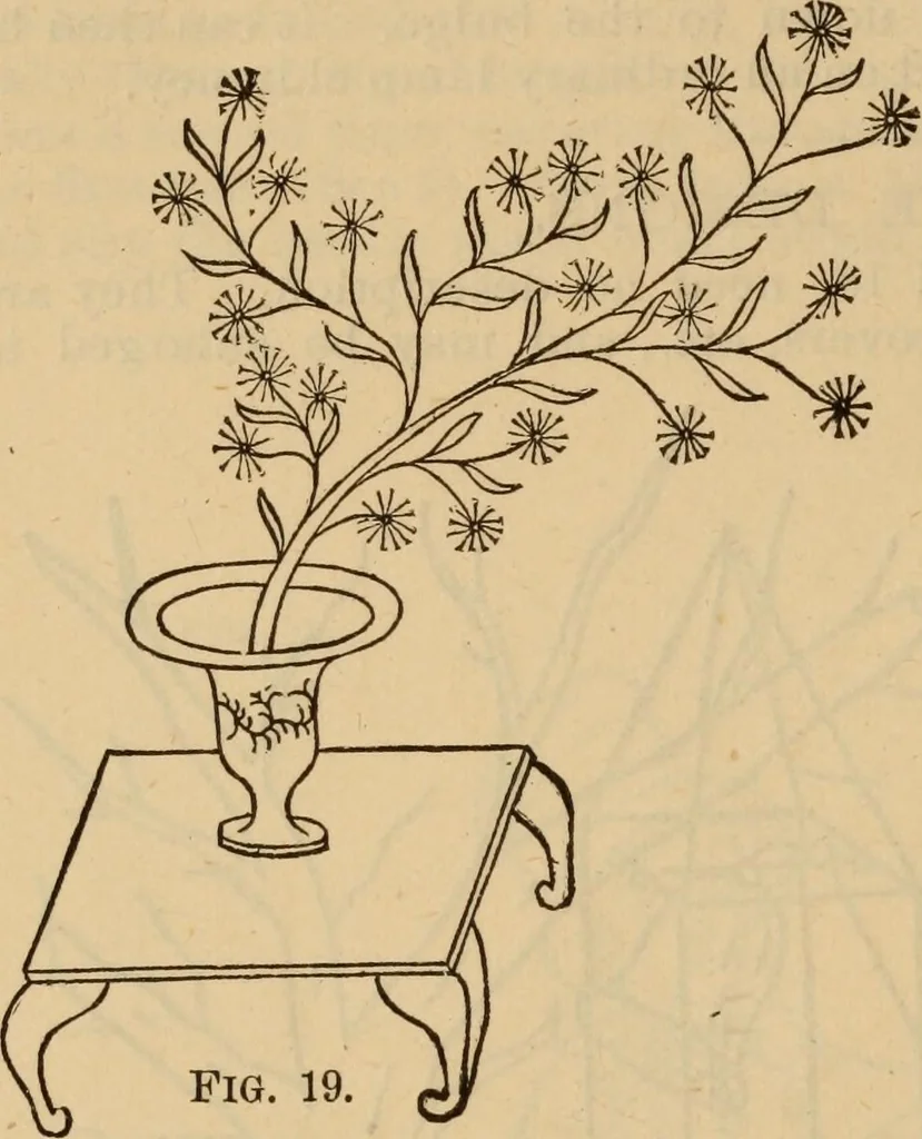An illustration from The self-instructor in silk knitting, crocheting and embroidery, 1884, leaf 77