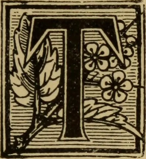 An illustration from The self-instructor in silk knitting, crocheting and embroidery, 1884, leaf 8