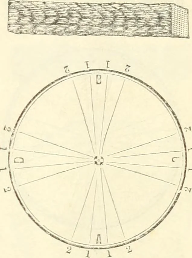 An illustration from Self-instructor in the art of hair work, dressing hair, making curls, switches, braids, and hair jewelry of every description, 1867, leaf 12