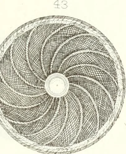An illustration from Self-instructor in the art of hair work, dressing hair, making curls, switches, braids, and hair jewelry of every description, 1867, leaf 158