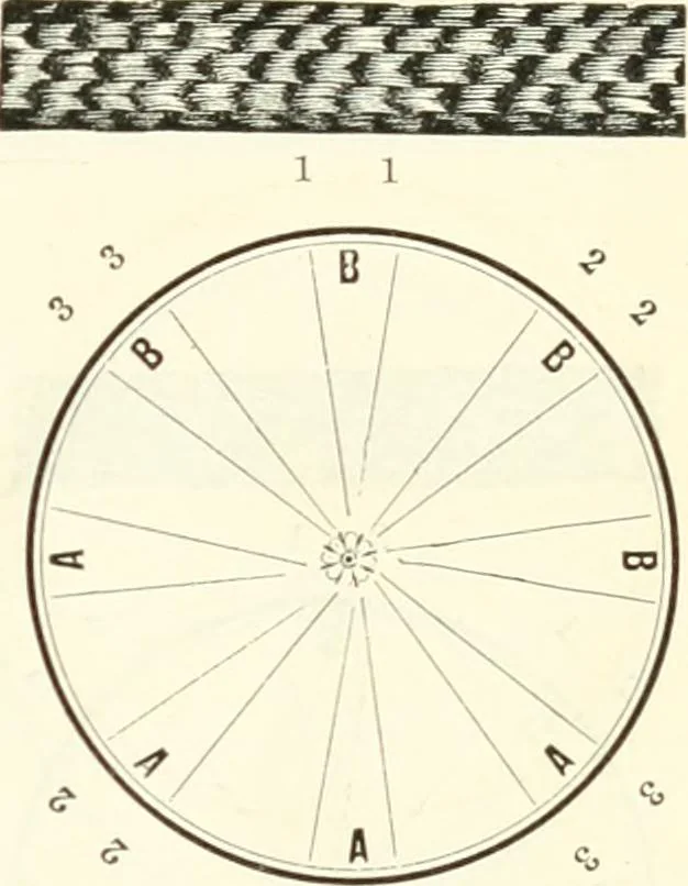 An illustration from Self-instructor in the art of hair work, dressing hair, making curls, switches, braids, and hair jewelry of every description, 1867, leaf 18
