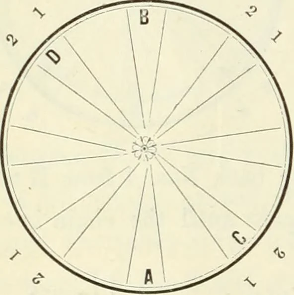 An illustration from Self-instructor in the art of hair work, dressing hair, making curls, switches, braids, and hair jewelry of every description, 1867, leaf 19