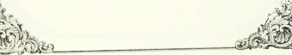 An illustration from Self-instructor in the art of hair work, dressing hair, making curls, switches, braids, and hair jewelry of every description, 1867, leaf 198
