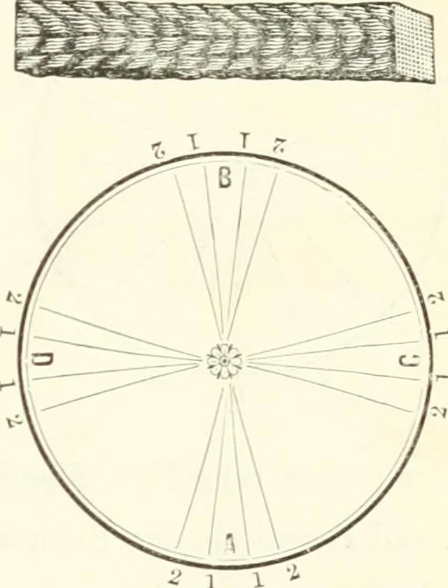 An illustration from Self-instructor in the art of hair work, dressing hair, making curls, switches, braids, and hair jewelry of every description, 1867, leaf 20