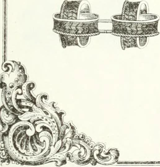 An illustration from Self-instructor in the art of hair work, dressing hair, making curls, switches, braids, and hair jewelry of every description, 1867, leaf 200