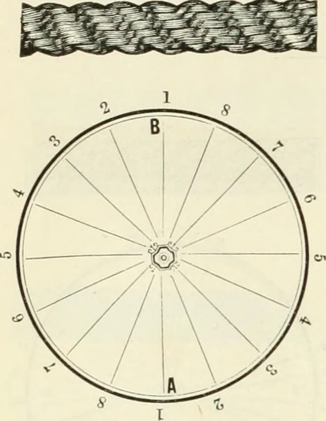 An illustration from Self-instructor in the art of hair work, dressing hair, making curls, switches, braids, and hair jewelry of every description, 1867, leaf 21