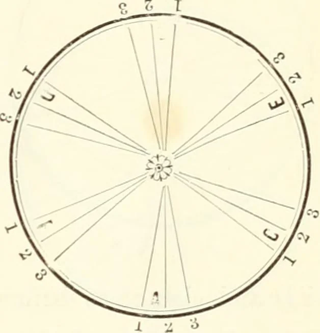 An illustration from Self-instructor in the art of hair work, dressing hair, making curls, switches, braids, and hair jewelry of every description, 1867, leaf 22