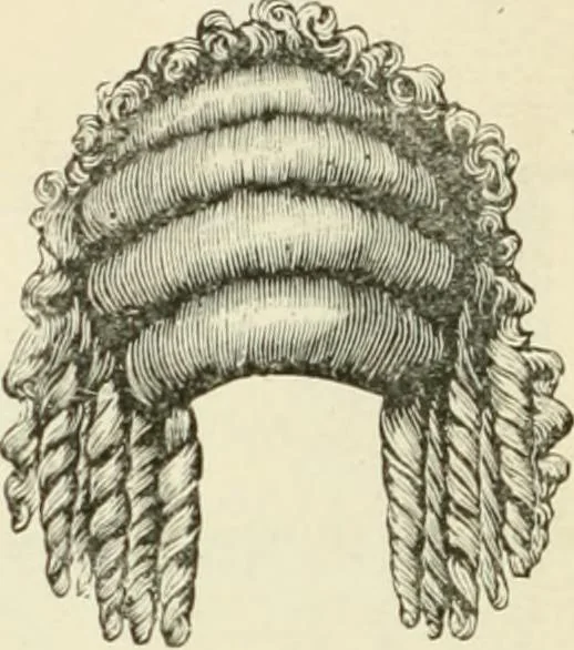 An illustration from Self-instructor in the art of hair work, dressing hair, making curls, switches, braids, and hair jewelry of every description, 1867, leaf 247