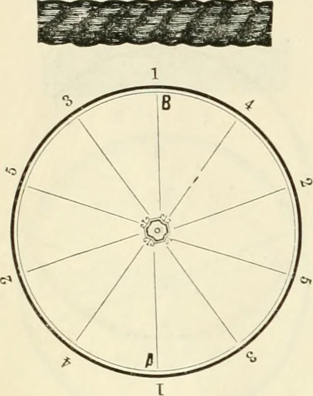 An illustration from Self-instructor in the art of hair work, dressing hair, making curls, switches, braids, and hair jewelry of every description, 1867, leaf 25