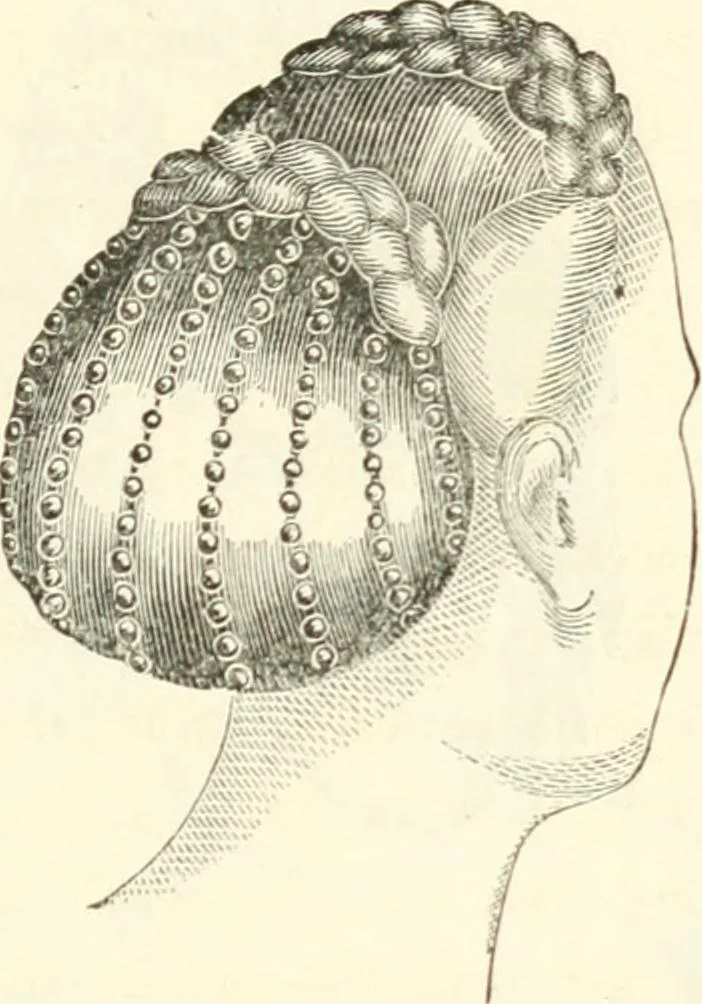 An illustration from Self-instructor in the art of hair work, dressing hair, making curls, switches, braids, and hair jewelry of every description, 1867, leaf 252