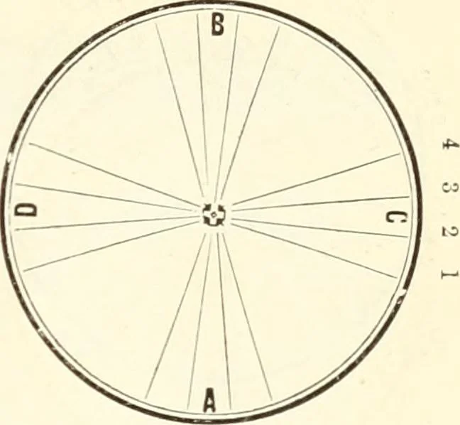 An illustration from Self-instructor in the art of hair work, dressing hair, making curls, switches, braids, and hair jewelry of every description, 1867, leaf 26