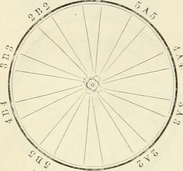 An illustration from Self-instructor in the art of hair work, dressing hair, making curls, switches, braids, and hair jewelry of every description, 1867, leaf 27