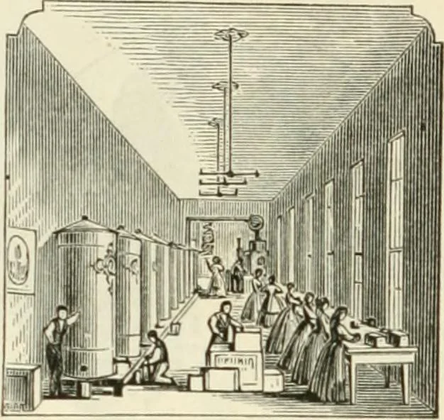 An illustration from Self-instructor in the art of hair work, dressing hair, making curls, switches, braids, and hair jewelry of every description, 1867, leaf 275