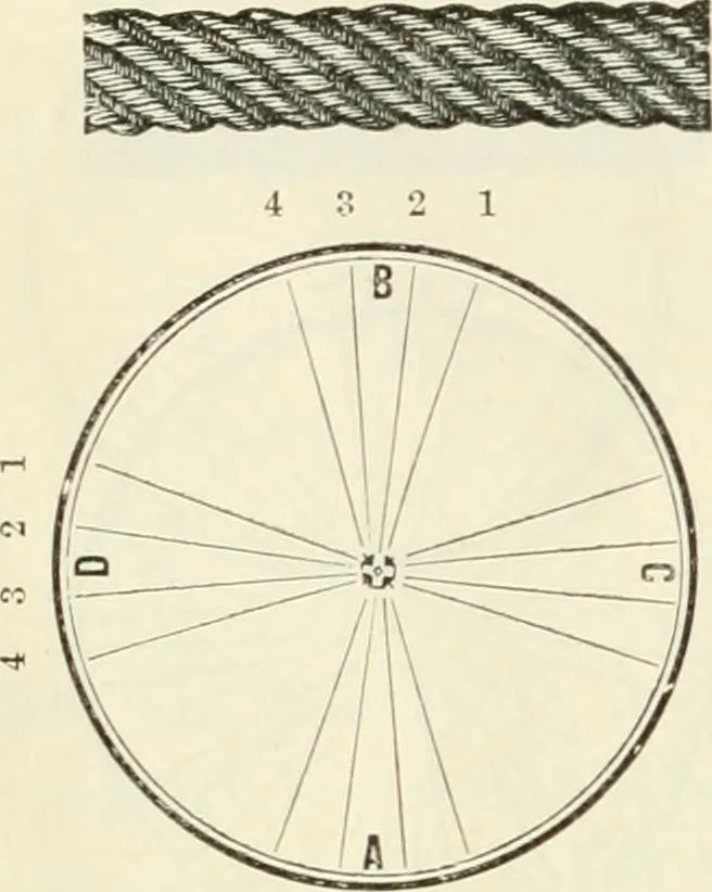 An illustration from Self-instructor in the art of hair work, dressing hair, making curls, switches, braids, and hair jewelry of every description, 1867, leaf 29