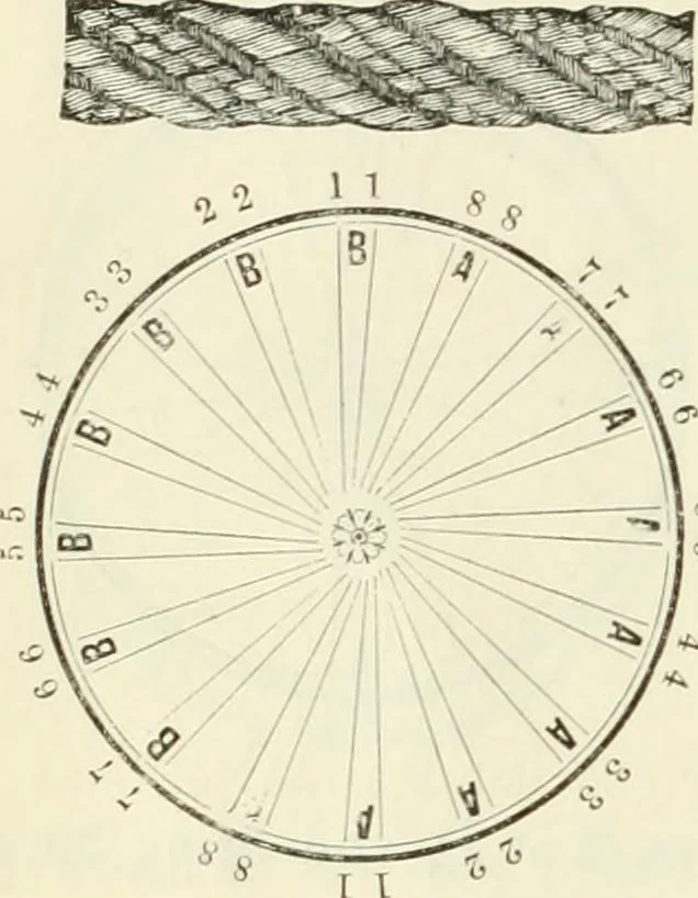 An illustration from Self-instructor in the art of hair work, dressing hair, making curls, switches, braids, and hair jewelry of every description, 1867, leaf 33
