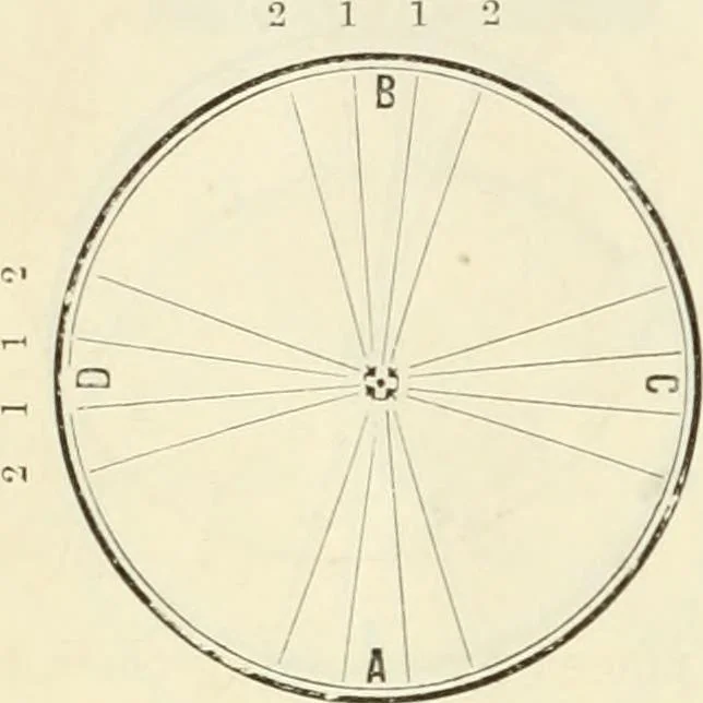 An illustration from Self-instructor in the art of hair work, dressing hair, making curls, switches, braids, and hair jewelry of every description, 1867, leaf 41