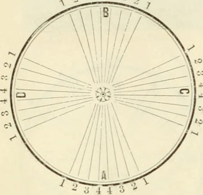 An illustration from Self-instructor in the art of hair work, dressing hair, making curls, switches, braids, and hair jewelry of every description, 1867, leaf 47