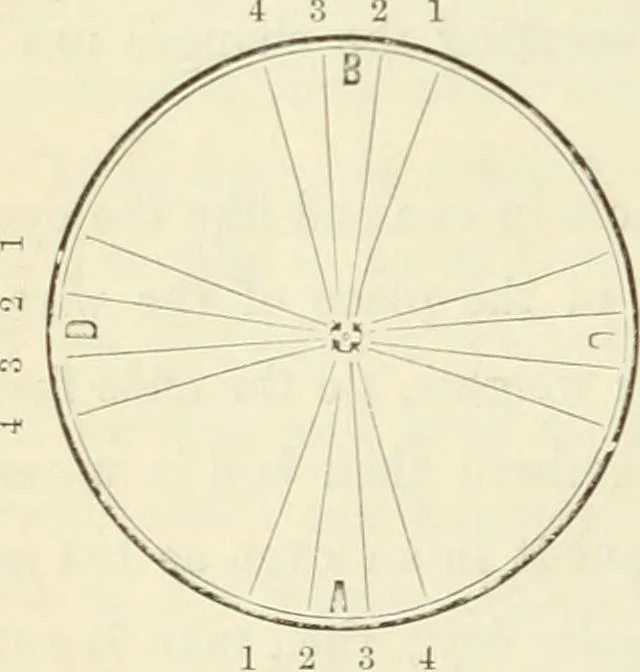 An illustration from Self-instructor in the art of hair work, dressing hair, making curls, switches, braids, and hair jewelry of every description, 1867, leaf 49