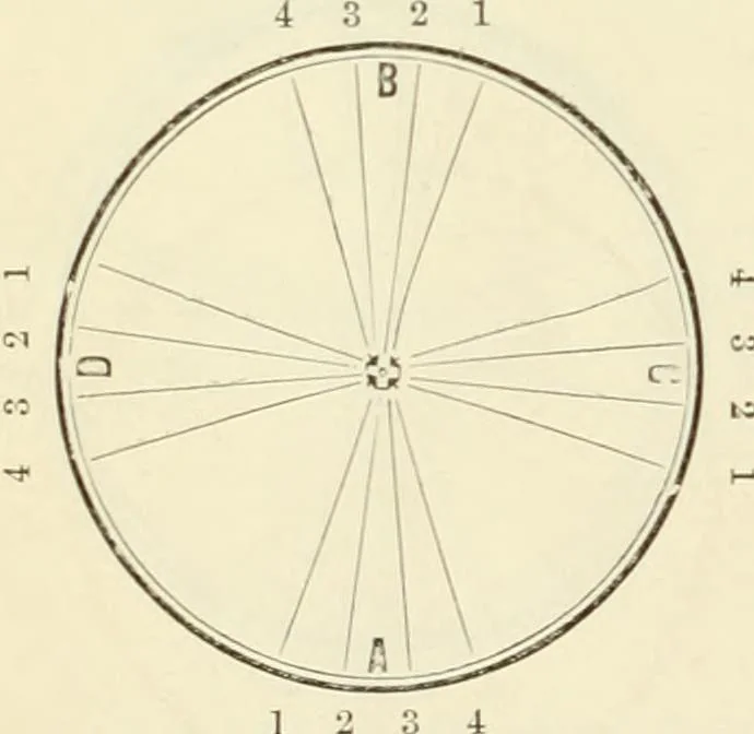 An illustration from Self-instructor in the art of hair work, dressing hair, making curls, switches, braids, and hair jewelry of every description, 1867, leaf 51