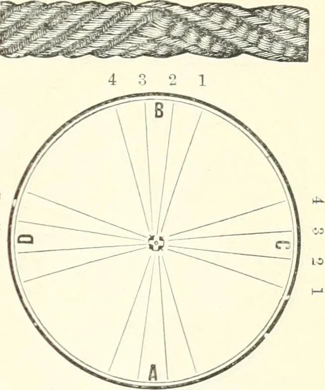 An illustration from Self-instructor in the art of hair work, dressing hair, making curls, switches, braids, and hair jewelry of every description, 1867, leaf 52