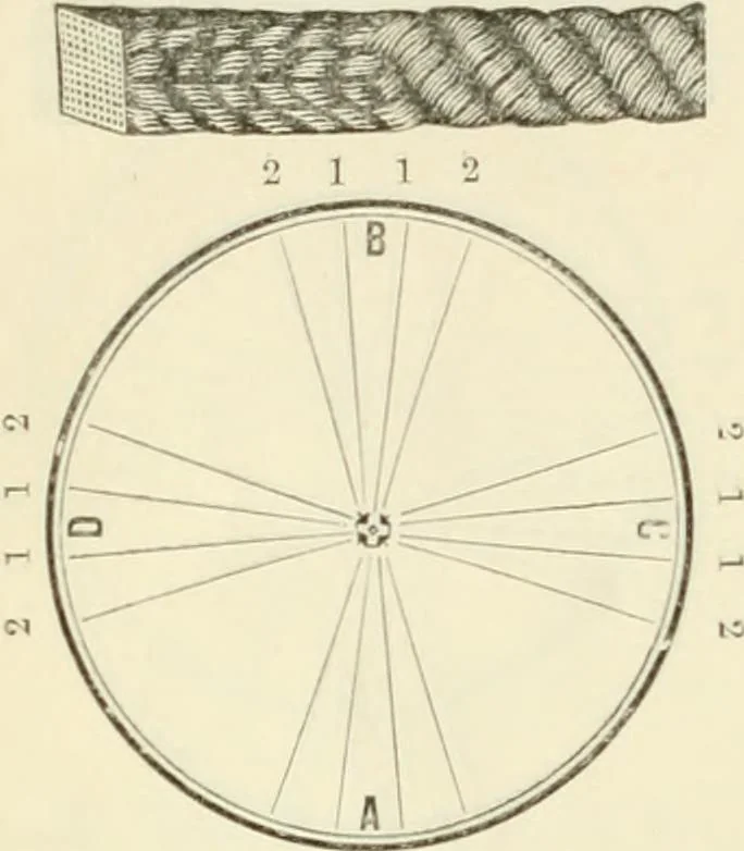 An illustration from Self-instructor in the art of hair work, dressing hair, making curls, switches, braids, and hair jewelry of every description, 1867, leaf 53