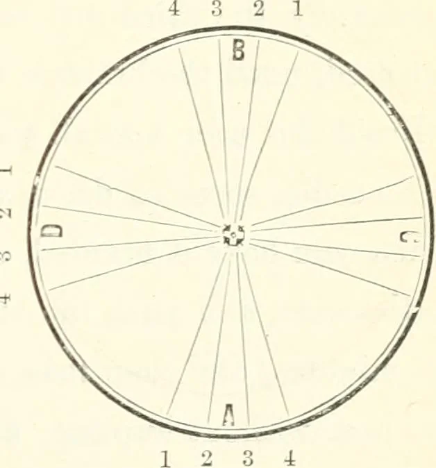 An illustration from Self-instructor in the art of hair work, dressing hair, making curls, switches, braids, and hair jewelry of every description, 1867, leaf 54