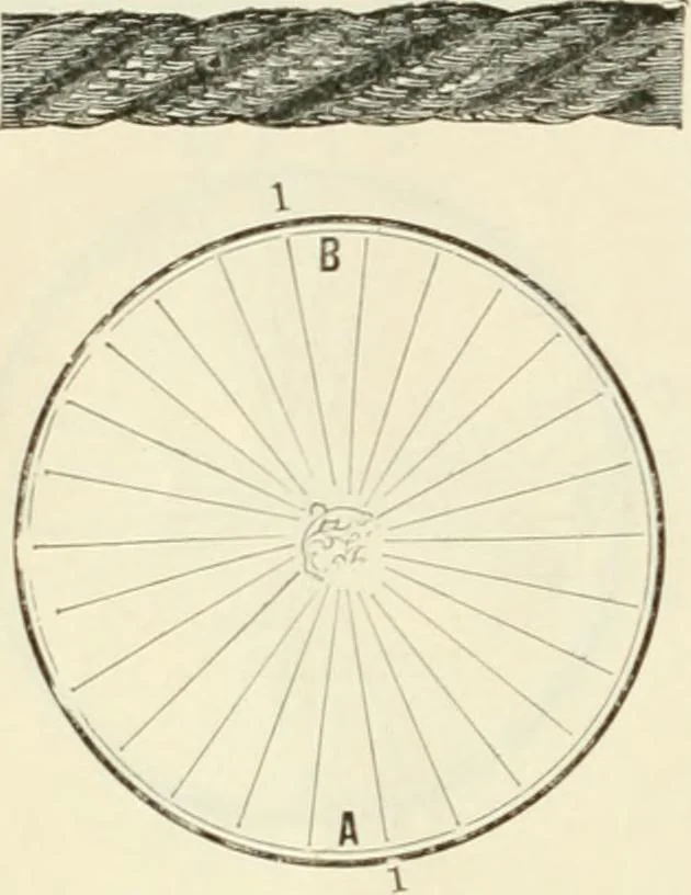 An illustration from Self-instructor in the art of hair work, dressing hair, making curls, switches, braids, and hair jewelry of every description, 1867, leaf 55