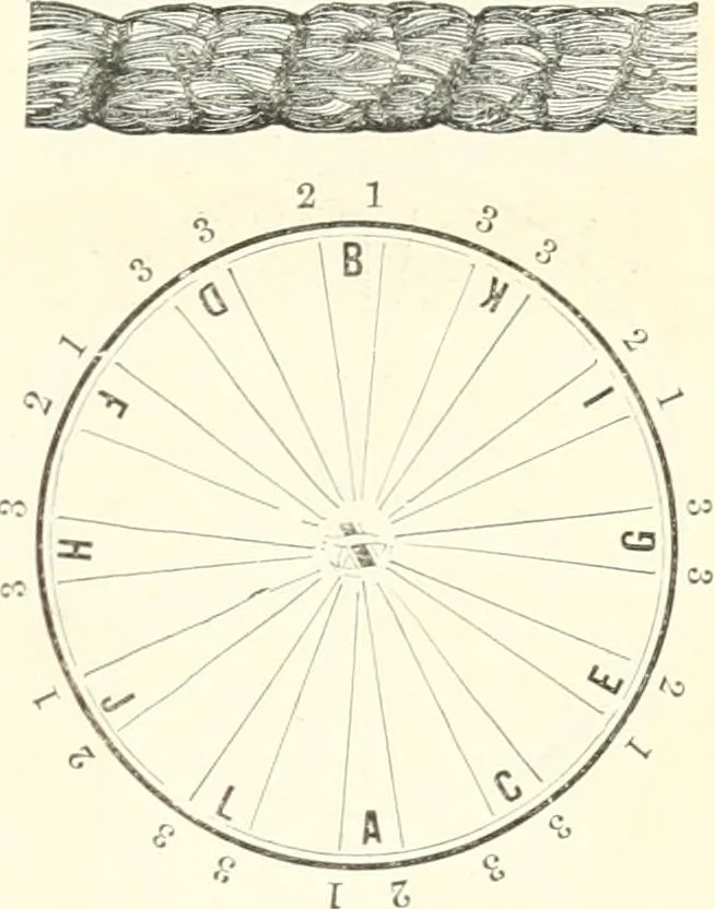 An illustration from Self-instructor in the art of hair work, dressing hair, making curls, switches, braids, and hair jewelry of every description, 1867, leaf 56