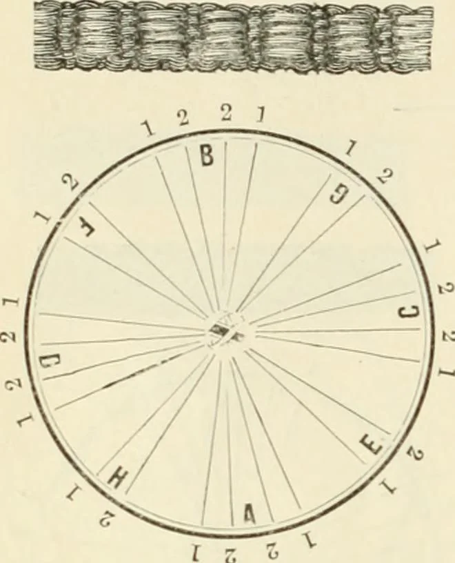 An illustration from Self-instructor in the art of hair work, dressing hair, making curls, switches, braids, and hair jewelry of every description, 1867, leaf 61
