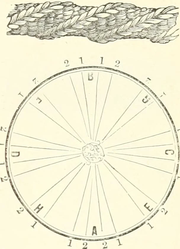 An illustration from Self-instructor in the art of hair work, dressing hair, making curls, switches, braids, and hair jewelry of every description, 1867, leaf 62