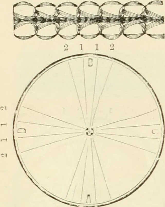 An illustration from Self-instructor in the art of hair work, dressing hair, making curls, switches, braids, and hair jewelry of every description, 1867, leaf 65