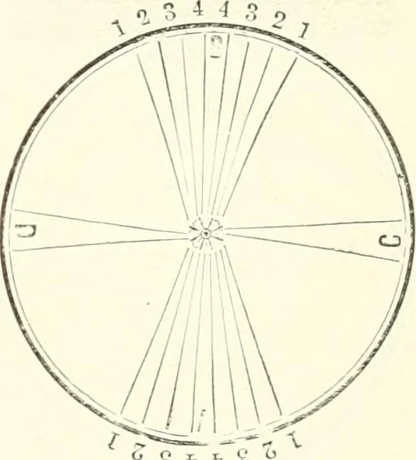 An illustration from Self-instructor in the art of hair work, dressing hair, making curls, switches, braids, and hair jewelry of every description, 1867, leaf 76