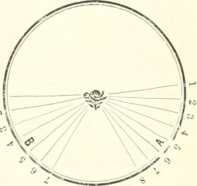 An illustration from Self-instructor in the art of hair work, dressing hair, making curls, switches, braids, and hair jewelry of every description, 1867, leaf 80